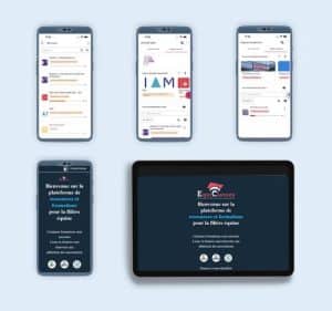 Capture de différents écrans de tablettes et mobiles illustrant le thème responsive